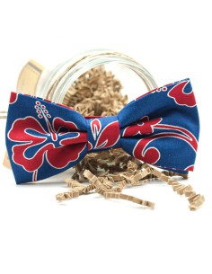 PAJARITA Tropical Ocean