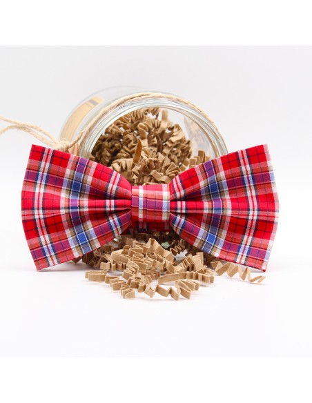 PAJARITA NORUEGA PAJARITA NORUEGA