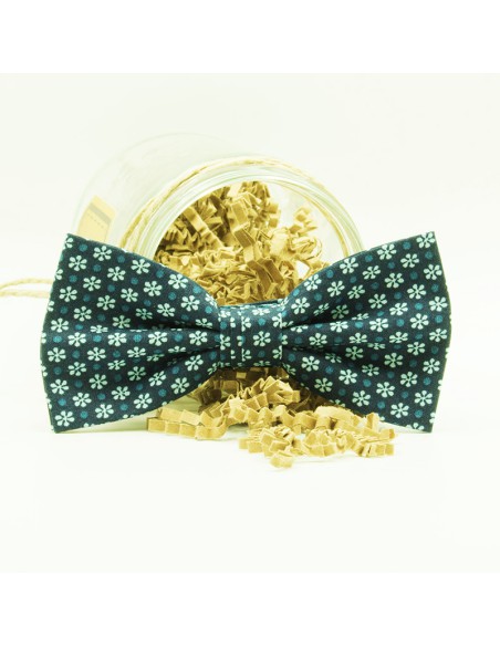 PAJARITA  NEVADA PAJARITA  NEVADA