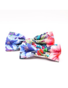 PAJARITA NIÑO WONDER 2