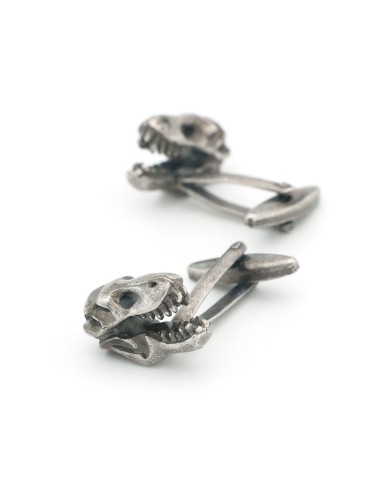 GEMELOS  DINOSAURIOS HEAD