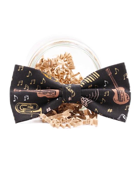 PAJARITA MUSIK PAJARITA MUSIK