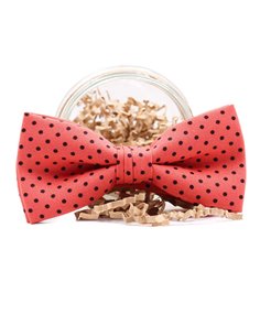 PAJARITA FERIA DE CÓRDOBA