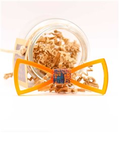 PAJARITA  VERGARA ORANGE