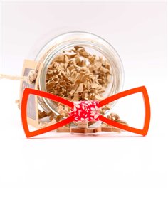 PAJARITA  VERGARA ROJO