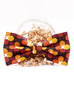 Conjunto Tirantes y Pajarita Bowie 2