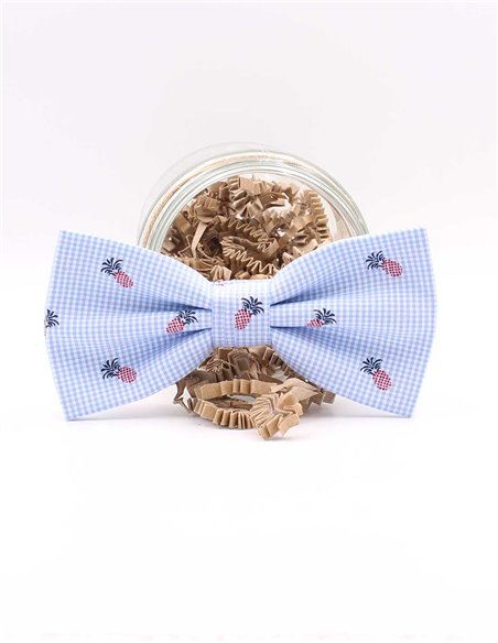 PAJARITA PIÑAS CUADROS