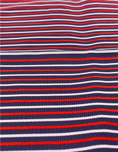 Conjunto Pajarita y Pañuelo Rayas