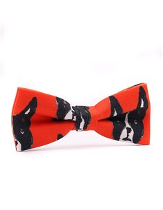 PAJARITA NIÑO Chien