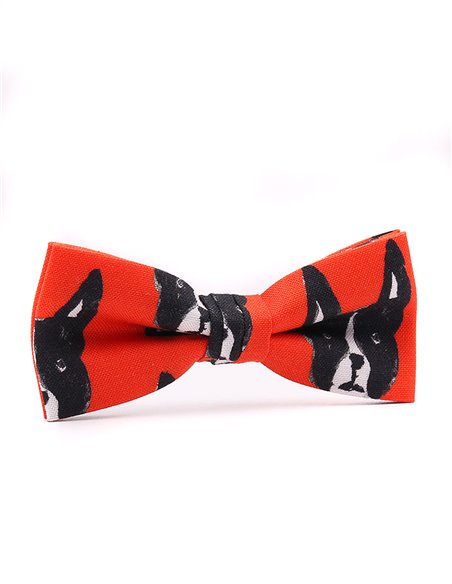 PAJARITA NIÑO Chien