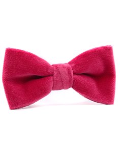 PAJARITA TERCIOPELO ROSA