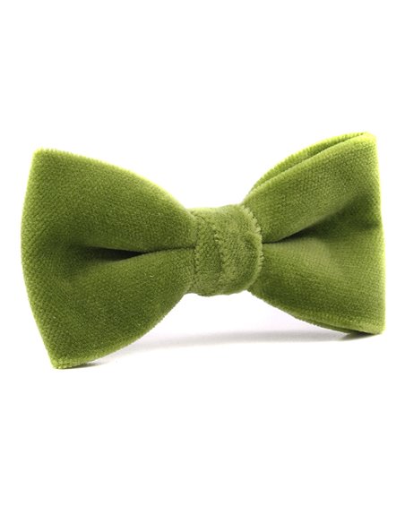 PAJARITA TERCIOPELO VERDE